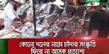 চাঁদাবাজদের চাপ থেকে মুক্তিতে কারওয়ানবাজারে ক্ষুদ্রব্যবসায়ীদের স্বস্তি