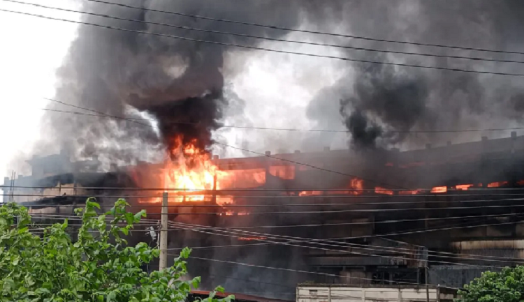 সংগৃহীত