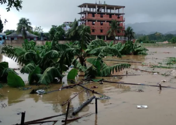 সংগৃহীত