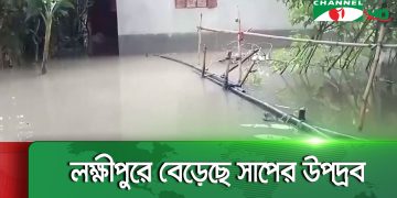 ফেনীতে কমতে শুরু করেছে বন্যার পানি