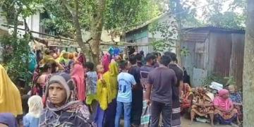 সংগৃহীত