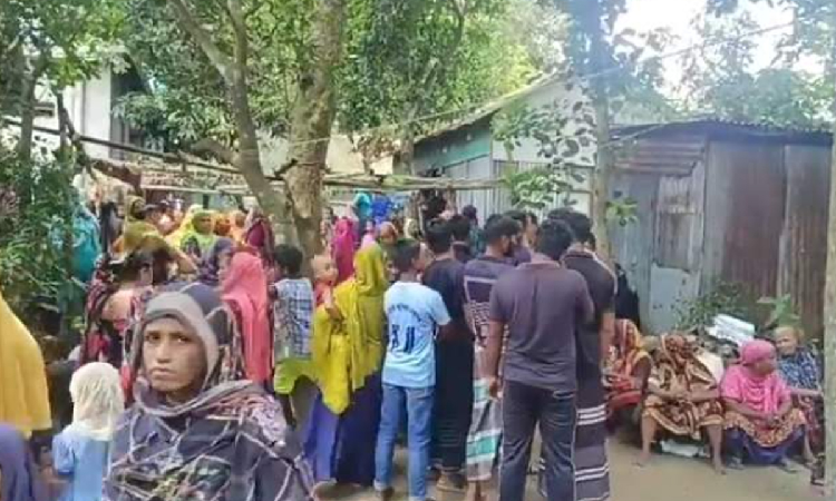 সংগৃহীত