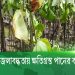 -4 Channel i News - চ্যানেল আই নিউজ