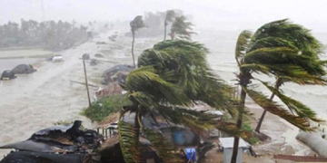 সংগৃহীত