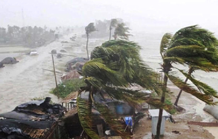 সংগৃহীত