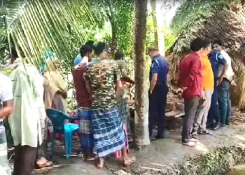 সংগৃহীত