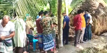 সংগৃহীত