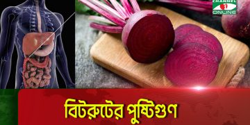 বিটরুটের উপকারিতা ও পুষ্টিগুণ, স্বাস্থ্য সচেতনদের জন্য গুরুত্বপূর্ণ. Channel i News - চ্যানেল আই নিউজ