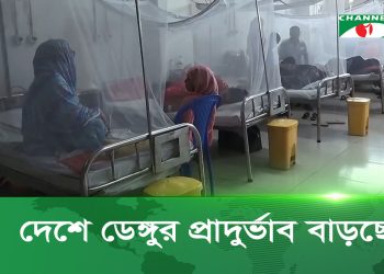 গত ২৪ ঘণ্টায় ডেঙ্গু আক্রান্ত হয়ে হাসপাতালে ভর্তি হয়েছে ১ হাজার ২২ জন