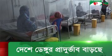 গত ২৪ ঘণ্টায় ডেঙ্গু আক্রান্ত হয়ে হাসপাতালে ভর্তি হয়েছে ১ হাজার ২২ জন