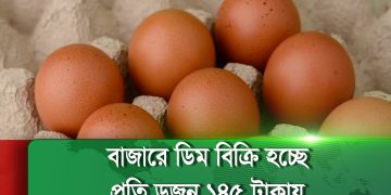 বাজারে ডিম ও সবজির দাম কমেছে, বেড়েছে ব্রয়লার মুরগি, পেঁয়াজ ও আলুর দাম