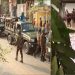 কলেজ এলাকায় যৌথ বাহিনী ও জনতার ভিড়, নিরাপত্তা ব্যবস্থা জোরদার. Channel i News - চ্যানেল আই নিউজ