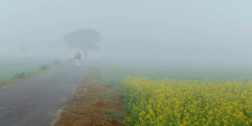 সংগৃহীত