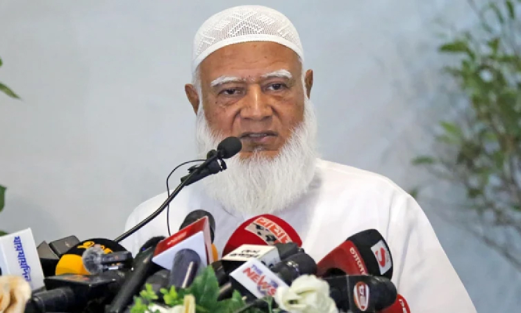 ফাইল ছবি