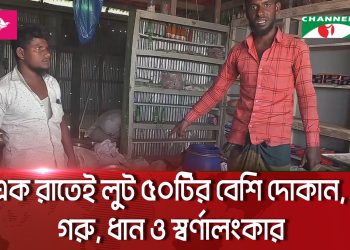 নোয়াখালীতে ঘাসিয়ার চরে ডাকাতের উপদ্রপ বেড়েছে