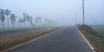 সংগৃহীত