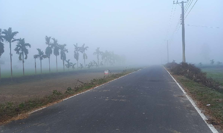 সংগৃহীত