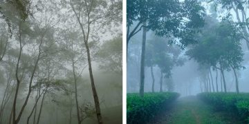 ছবি: কাজল হাজরা ও অলক বসু