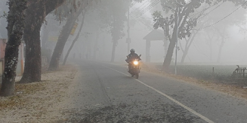 সংগৃহীত