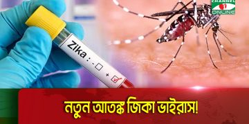 নতুন আতঙ্ক জিকা ভাইরাস