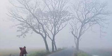 ফাইল ছবি