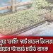 রংপুরে 'ফার্মিং স্মার্ট মডেল ভিলেজ' প্রকল্পের জন্য চারা রোপণ।. Channel i News - চ্যানেল আই নিউজ