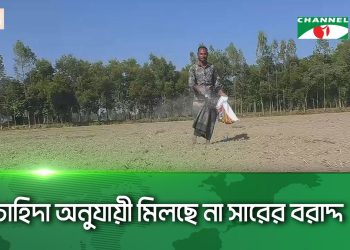 পঞ্চগড়ে চাহিদার তুলনায় বরাদ্দ কম হওয়ায় সার সংকটে কৃষক