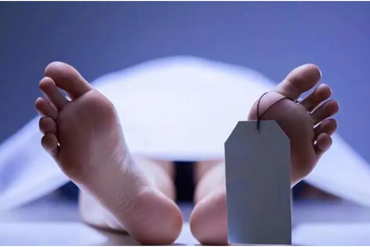 প্রতীকী ছবি