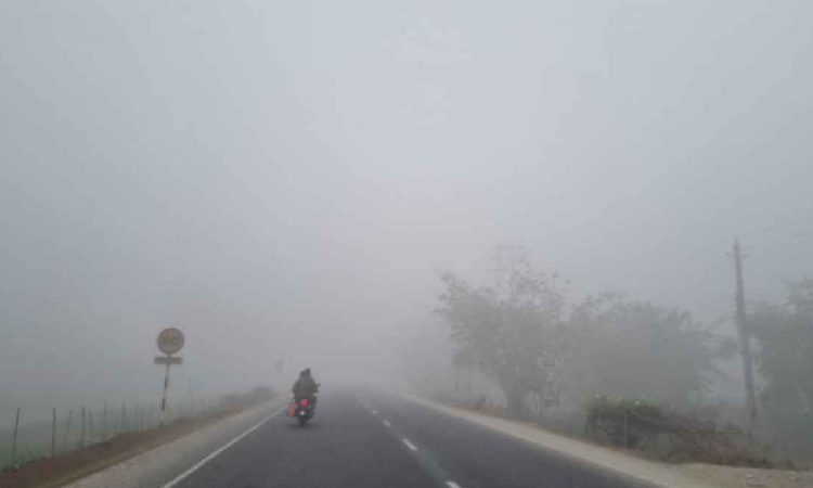 সংগৃহীত