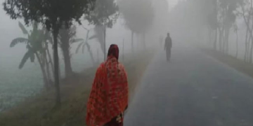 সংগৃহীত