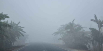 সংগৃহীত