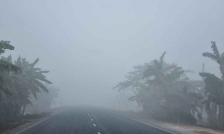 সংগৃহীত