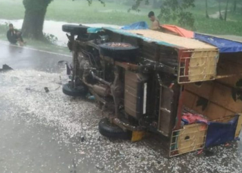 সংগৃহীত