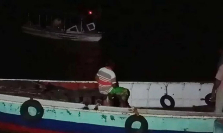 সংগৃহীত