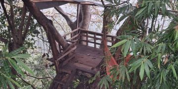 রাঙামাটির পাগলিছড়ি এলাকায় পাহাড়ের চূড়ায় ইউপিডিএফের (মূল) প্রশিক্ষণ ক্যাম্পের পর্যবেক্ষণ চৌকি