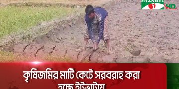 কৃষি জমির মাটি কাটায় ক্ষতিগ্রস্ত আবাদি জমি, বাঁধের ভেতর সেচ প্রকল্প. Channel i News - চ্যানেল আই নিউজ