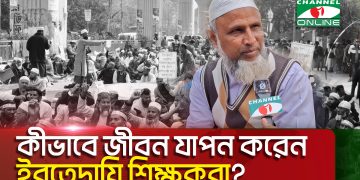 বেতন ছাড়া কীভাবে যুগের পর যুগ চাকরি করছেন ইবতেদায়ি শিক্ষকরা?