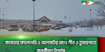 কানাডার ক্যালগেরি ও আলবার্টায় প্রচণ্ড শীত ও তুষারপাতে জনজীবন বিপর্যস্ত
