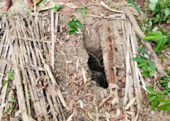ফাইল ছবি