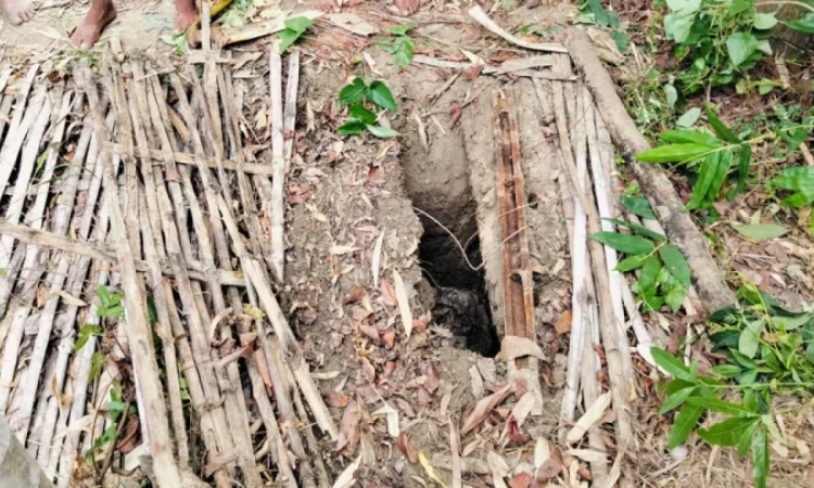 ফাইল ছবি