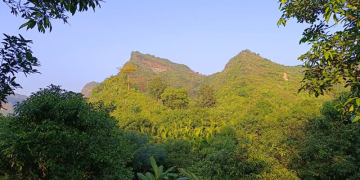 ফাইল ছবি