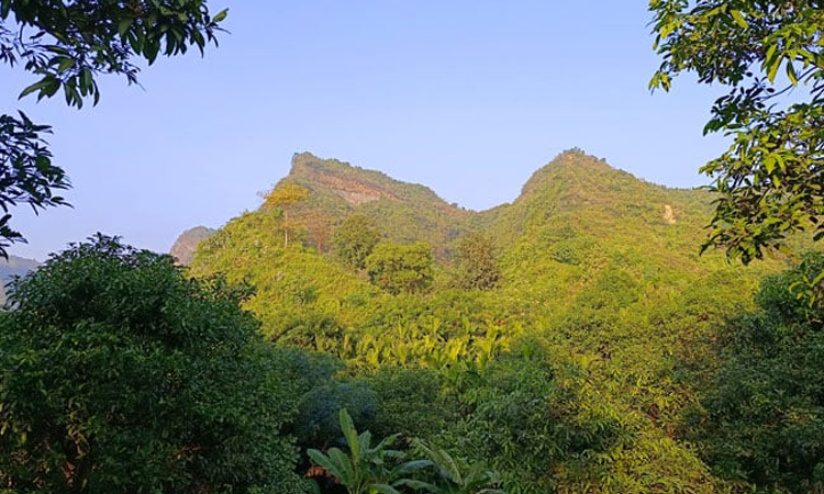 ফাইল ছবি