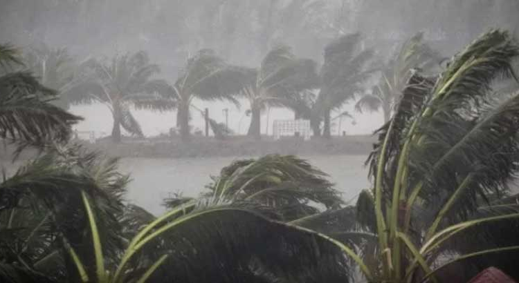 সংগৃহীত