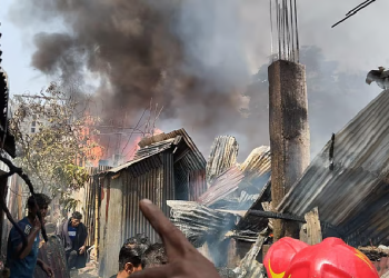 সংগৃহীত