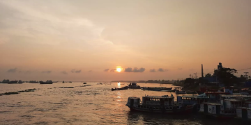 সংগৃহীত