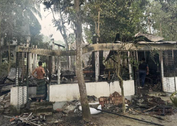 সংগৃহীত