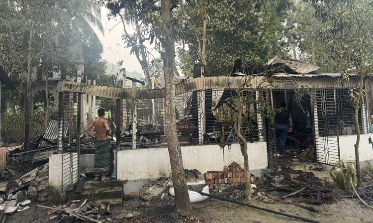 সংগৃহীত