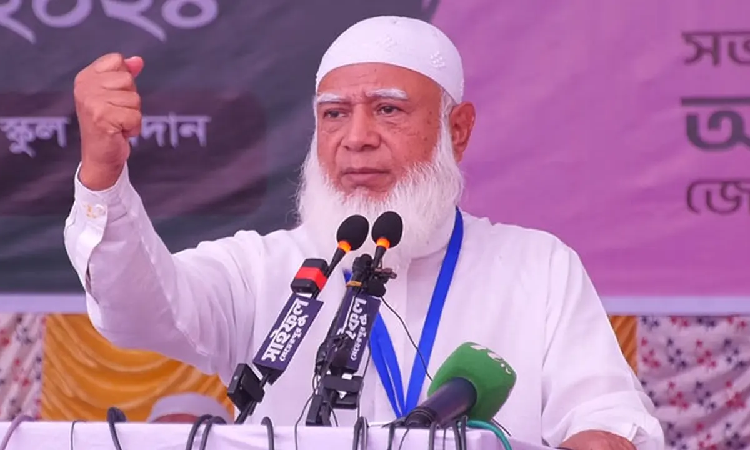 ফাইল ছবি