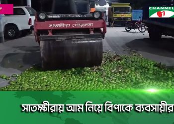 Traders in trouble with mangoes in Satkhira