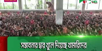 পোল্ট্রি শিল্পে আইওটি ভিত্তিক মোবাইল অ্যাপস ব্যবহার